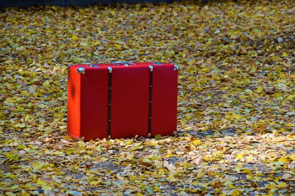 Comment comparer les valises pour trouver celle qui me convient